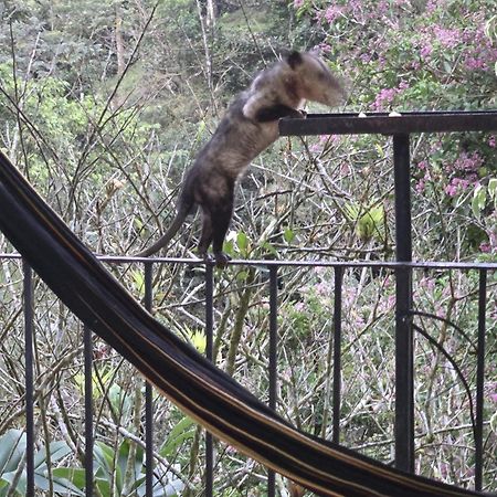 El Valle De Anton La Chachalaca Εξωτερικό φωτογραφία