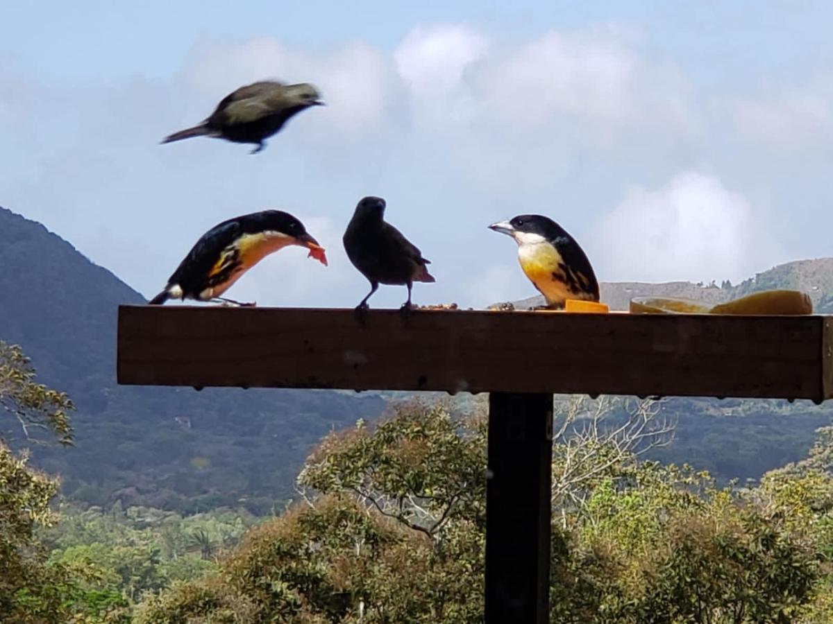 El Valle De Anton La Chachalaca Εξωτερικό φωτογραφία