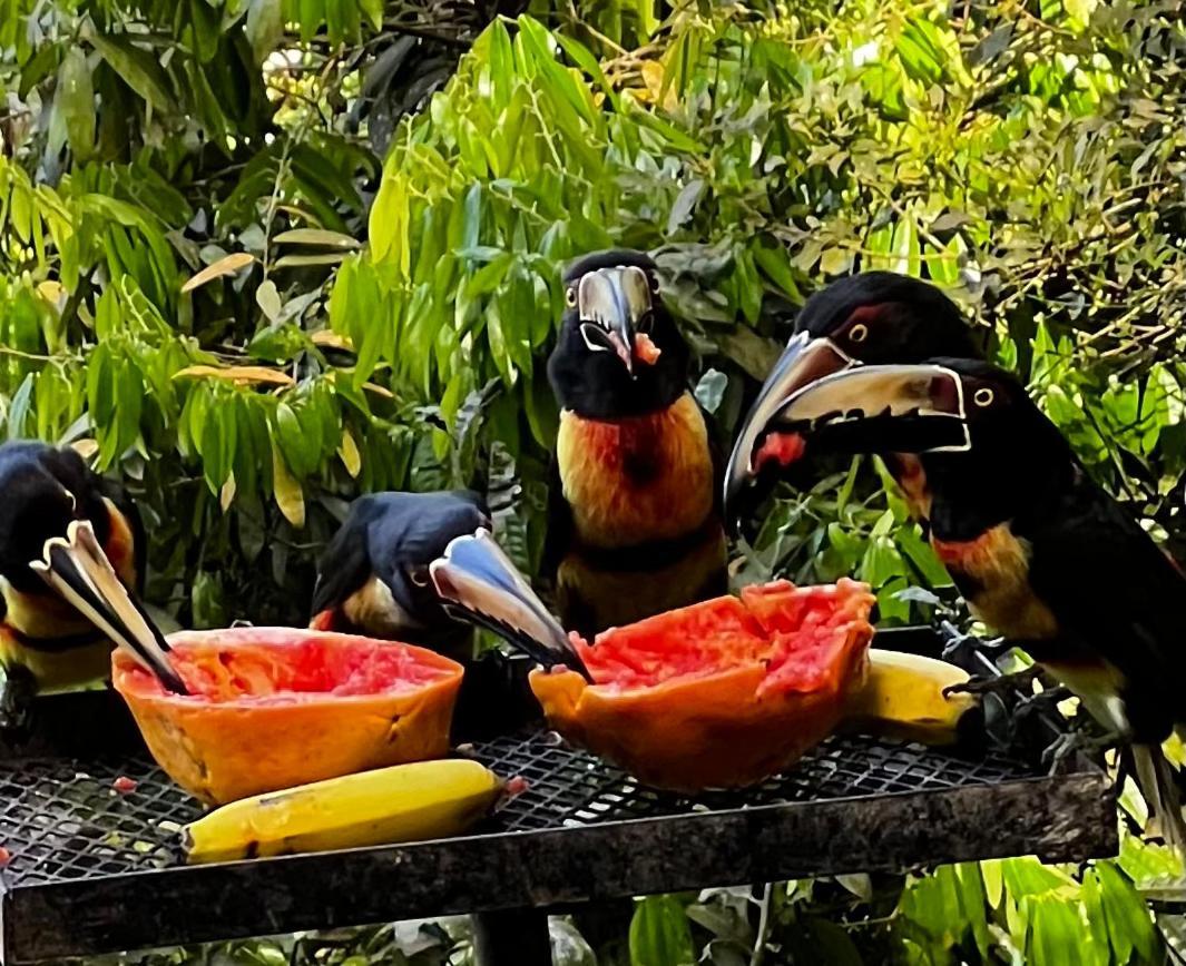 El Valle De Anton La Chachalaca Εξωτερικό φωτογραφία