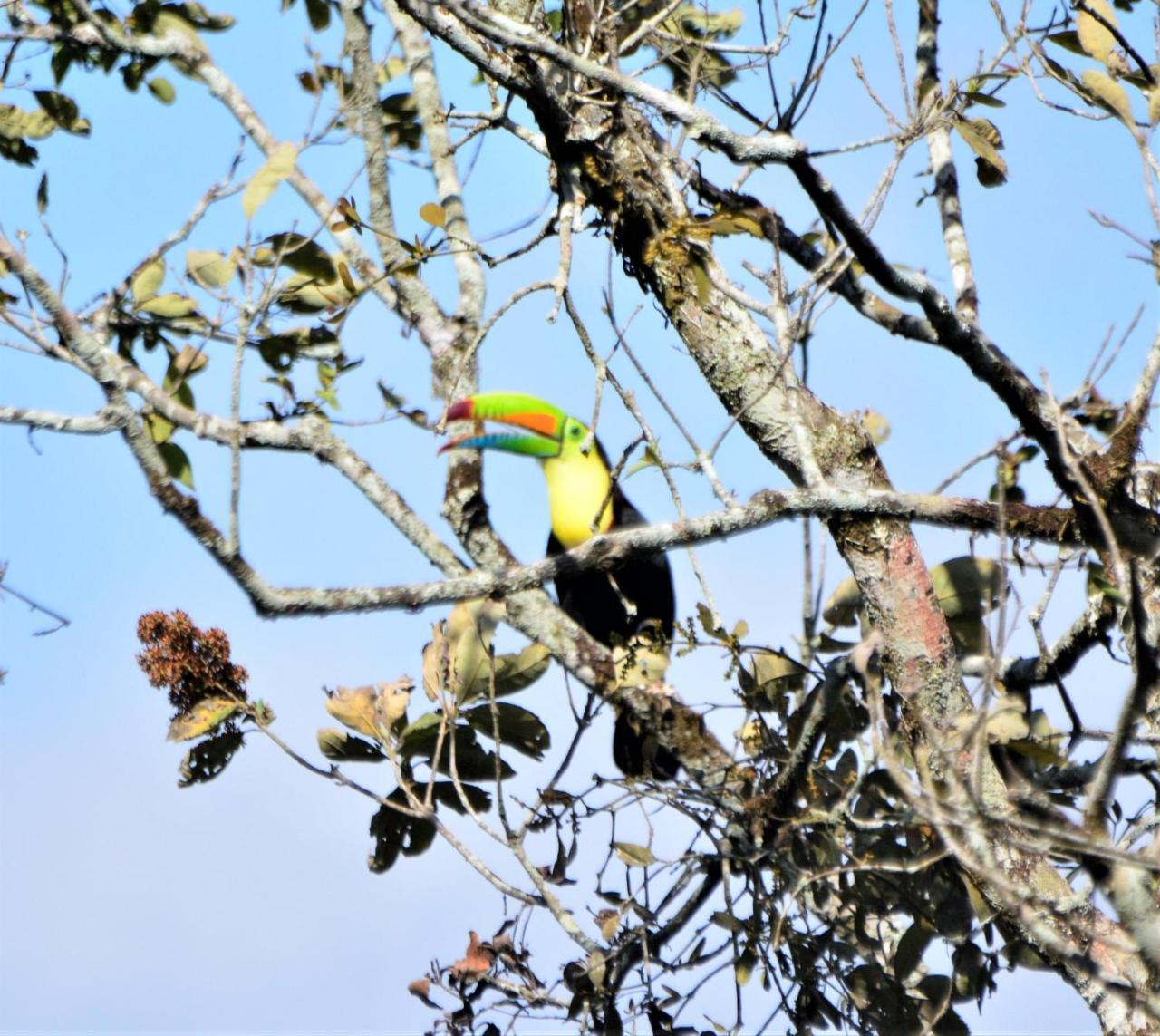 El Valle De Anton La Chachalaca Εξωτερικό φωτογραφία