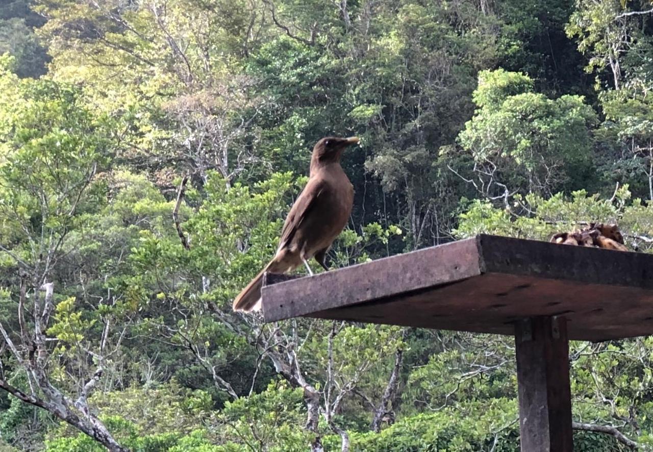El Valle De Anton La Chachalaca Εξωτερικό φωτογραφία